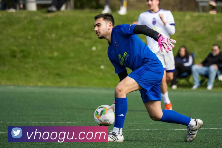 beat365官方网站入口发展历程